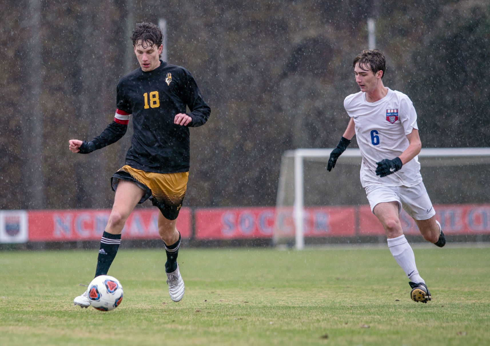 Reynolds v. Wake Forest State Soccer Championship